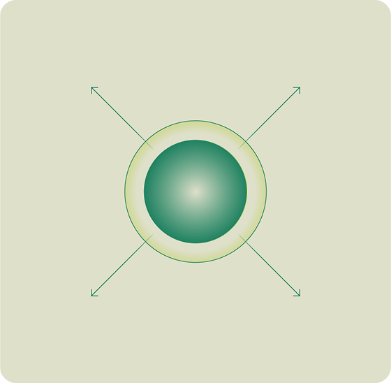 Expertise Diagram