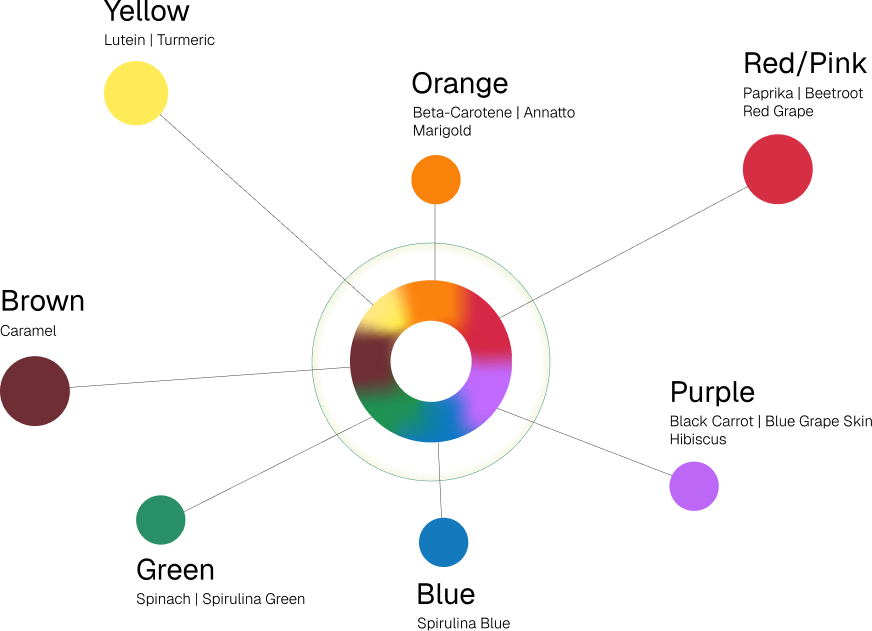 Our Colour Spectrum