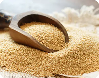 Amaranthus Nitrate Extract