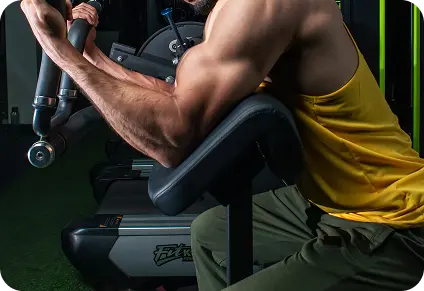 Build Muscle
