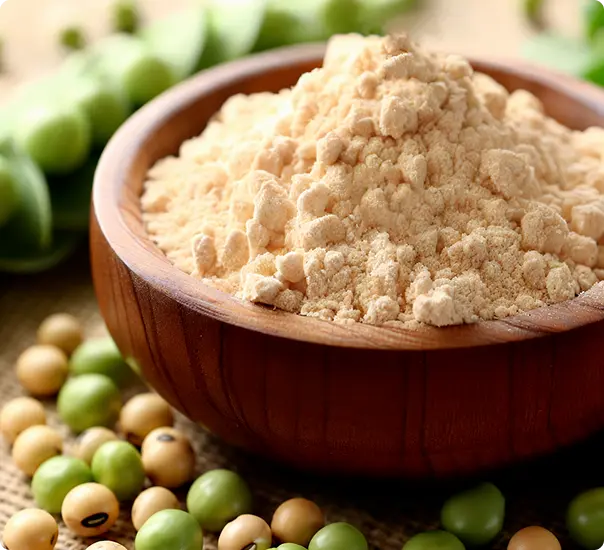 Protein Solutions