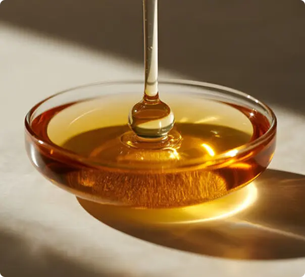 Lecithin Solutions