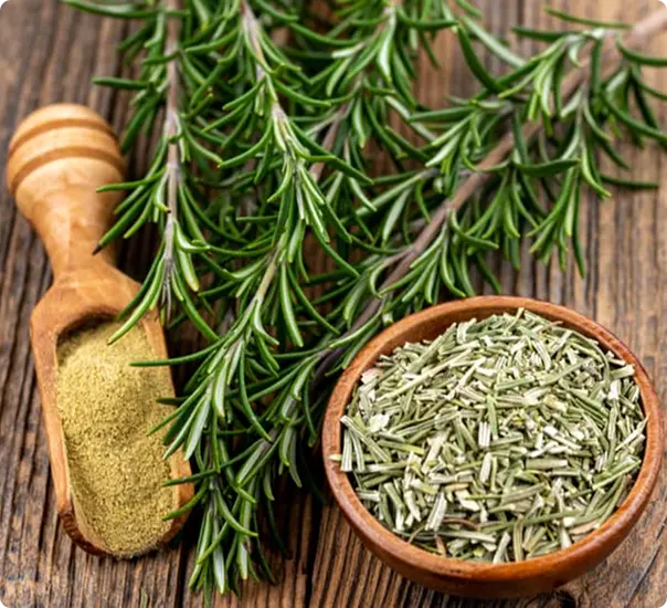 Natural Preservation Solutions