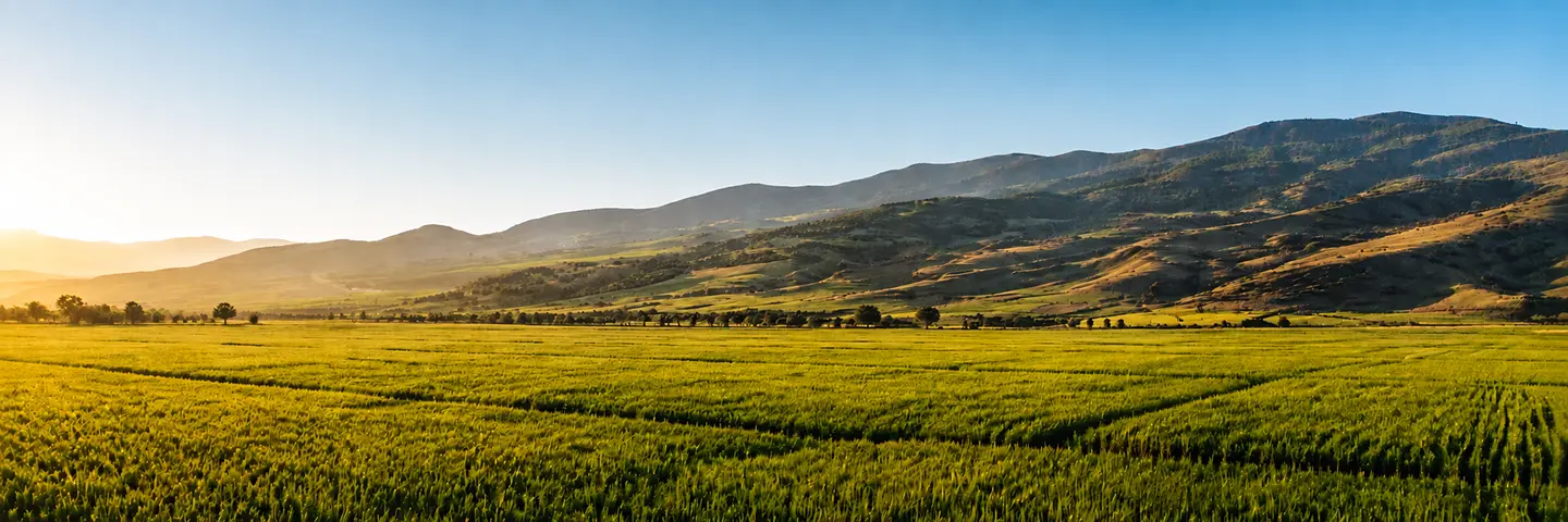 Sustainability Landscape