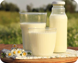 Dairy