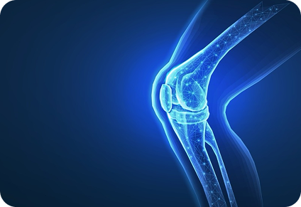 Supports Bone Health