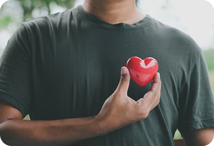 Supports Cardiovascular Health