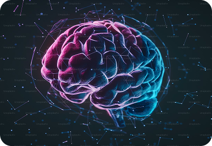 Supports Cognitive Function
