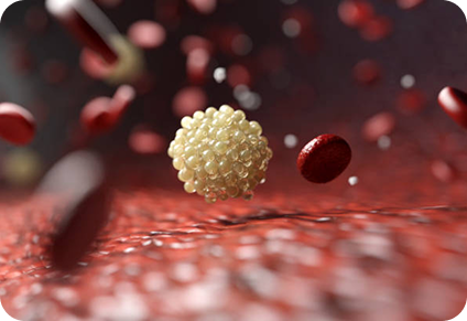 Supports Healthy Lipid Balance