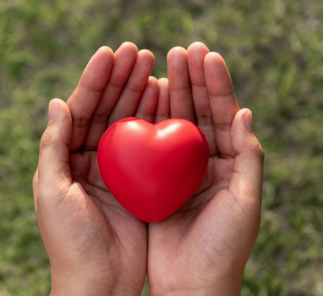Heart Health System