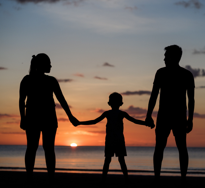 Family Wellness System