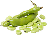 �A���v���e�C���e��