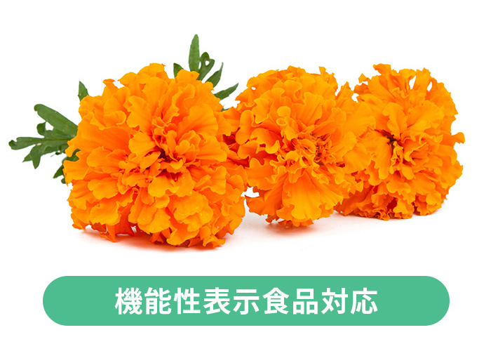 マリーゴールドエキス バイオルテイン 取扱い原料 バイオアクティブズジャパン株式会社