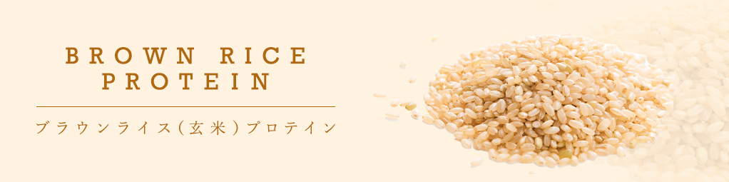 ブラウンライス（玄米）プロテインパウダー