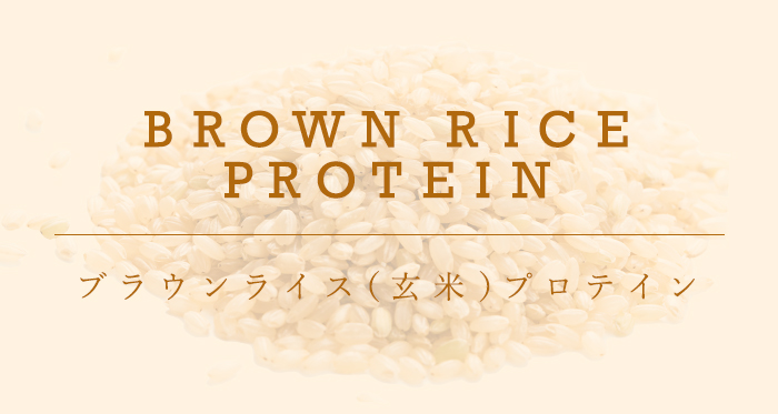 ブラウンライス（玄米）プロテインパウダー